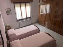 Ginestra