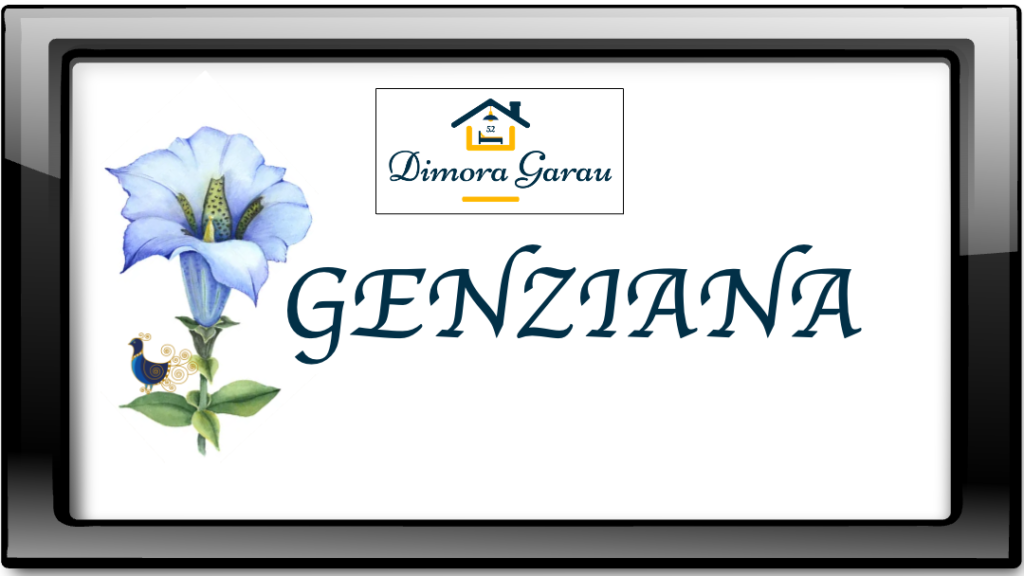 Genziana gallery