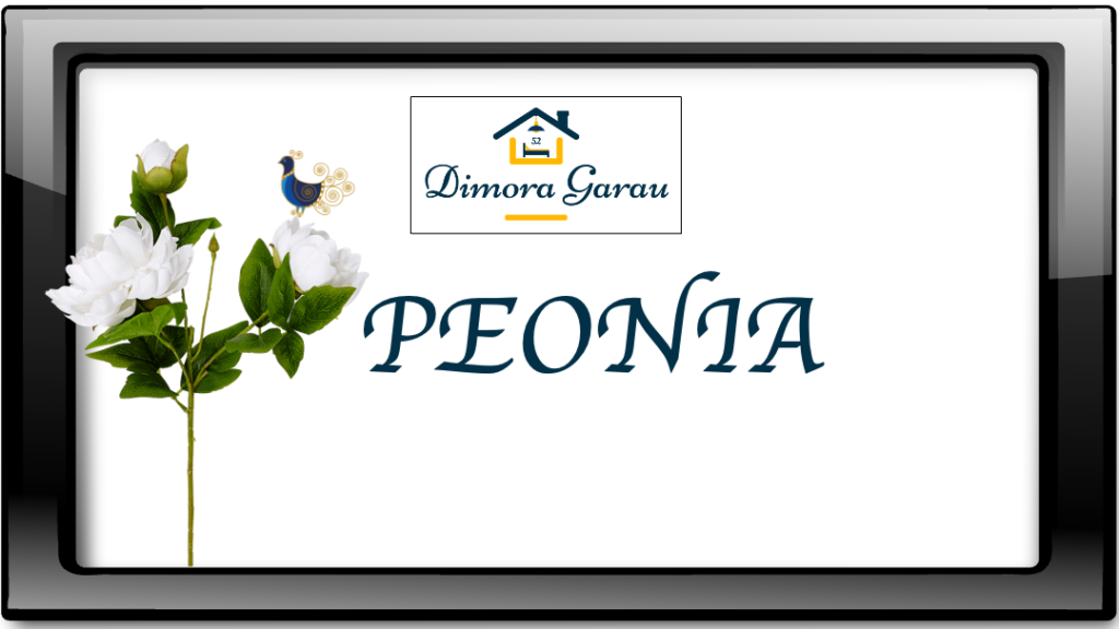 Peonia gallery
