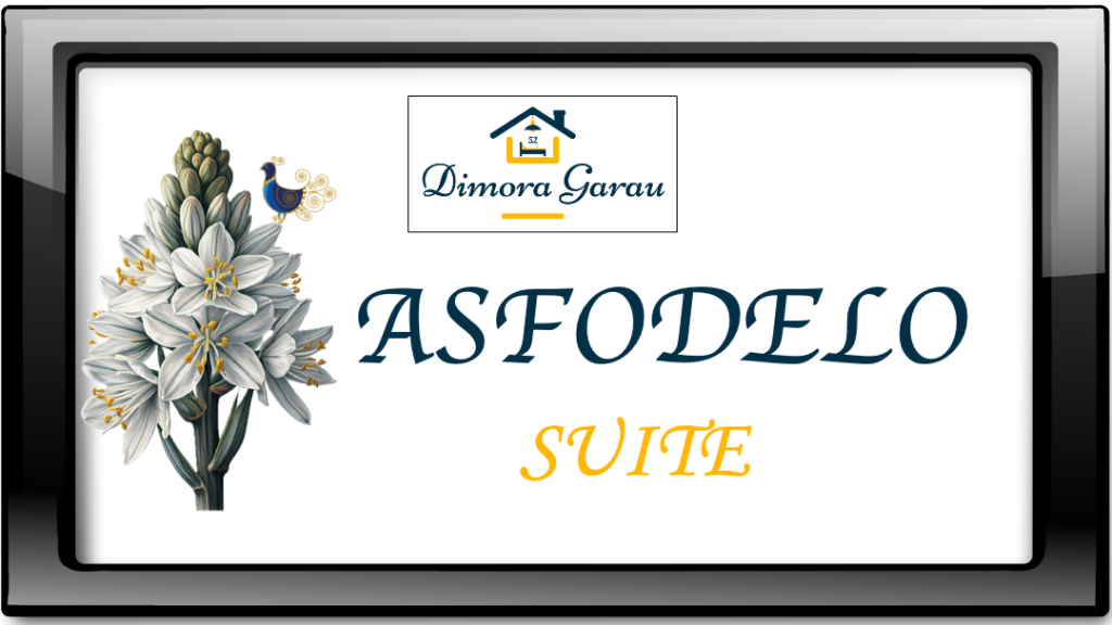 Asfodelo gallery